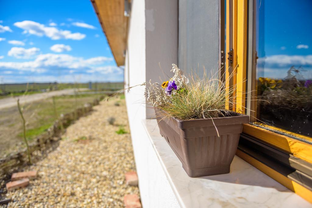 Hotel Centru De Recreere Kentaur Dorolţ Exteriér fotografie